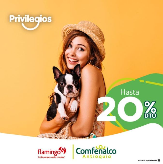 Descuentos en Septiembre con Flamingo y Flamingo Amigo